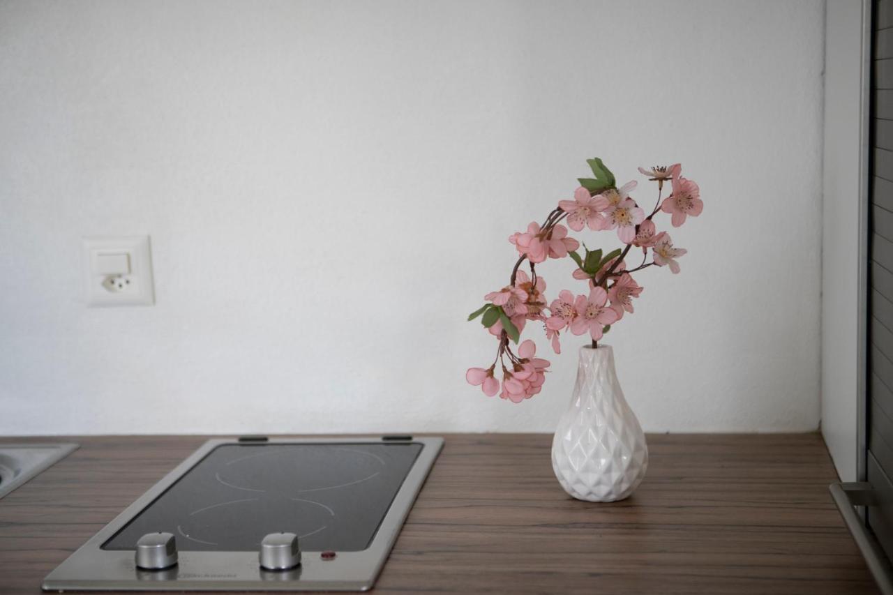 Casa Del Sole Apartment Локарно Екстериор снимка